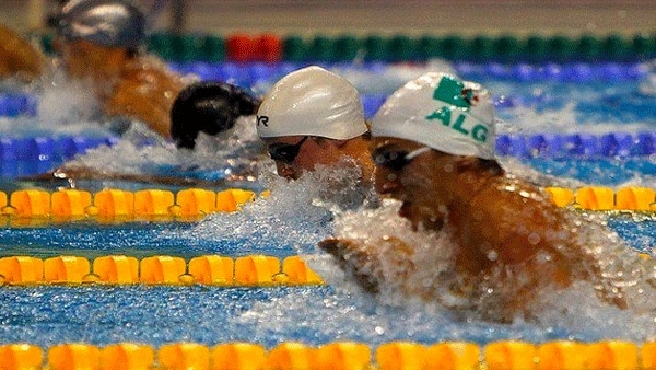 La sélection algérienne de natation